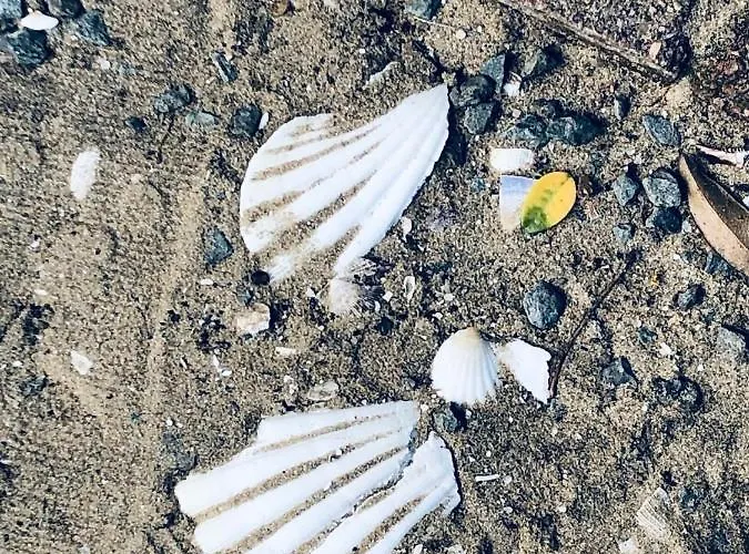 D'hotes Any-jean Louis A Mios