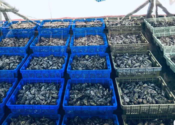 Bed & Breakfast D'hotes Any-jean Louis A Mios